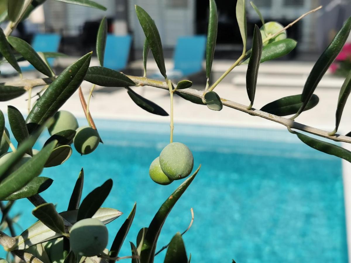 Villa Sundowner شيبينيك المظهر الخارجي الصورة